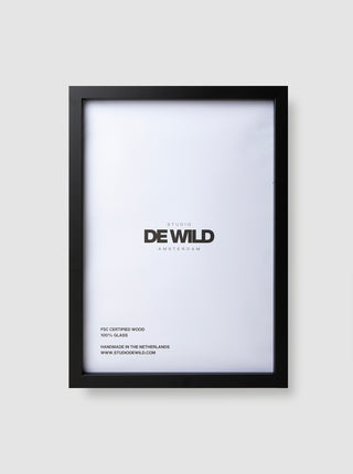Frame A2